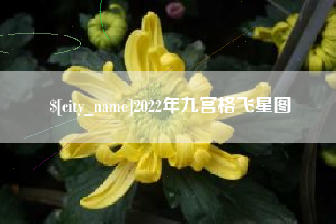 舞钢2022年九宫格飞星图