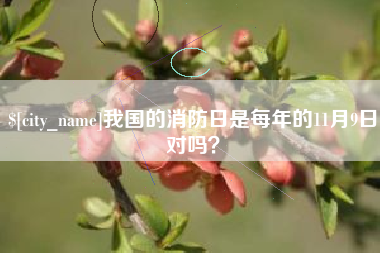 舞钢我国的消防日是每年的11月9日对吗？