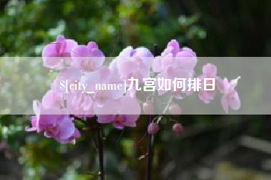 舞钢九宫如何排日