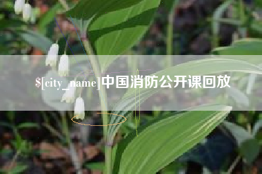 舞钢中国消防公开课回放