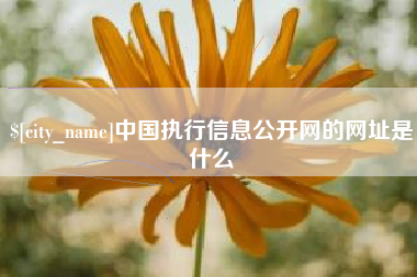 舞钢中国执行信息公开网的网址是什么