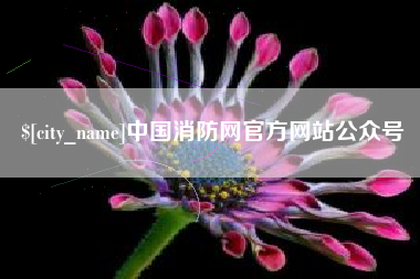 舞钢中国消防网官方网站公众号