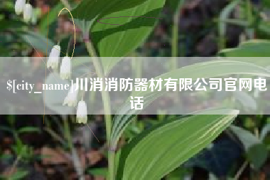 舞钢川消消防器材有限公司官网电话