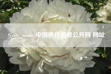 舞钢中国执行信息公开网 网址