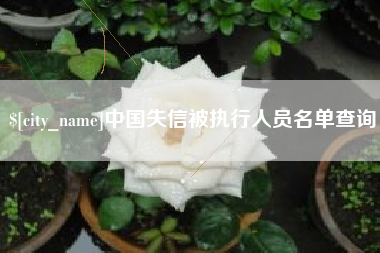 舞钢中国失信被执行人员名单查询