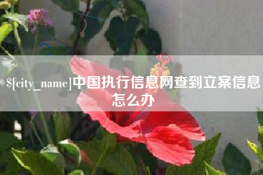 舞钢中国执行信息网查到立案信息怎么办