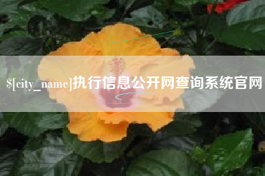 舞钢执行信息公开网查询系统官网