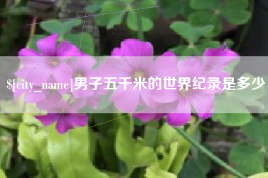 舞钢男子五千米的世界纪录是多少