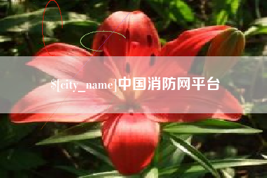 舞钢中国消防网平台