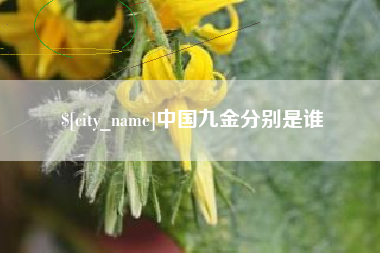 舞钢中国九金分别是谁