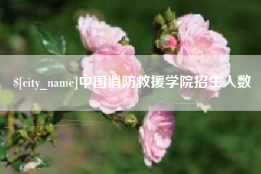 舞钢中国消防救援学院招生人数
