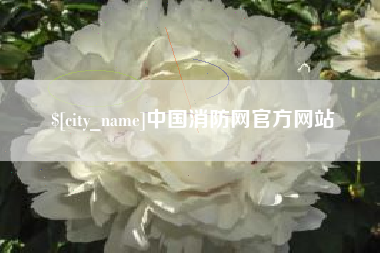 舞钢中国消防网官方网站