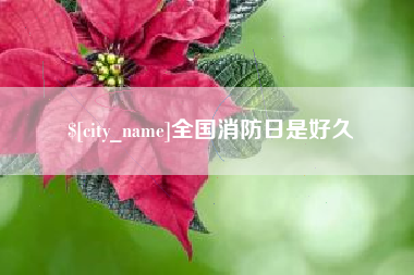 舞钢全国消防日是好久