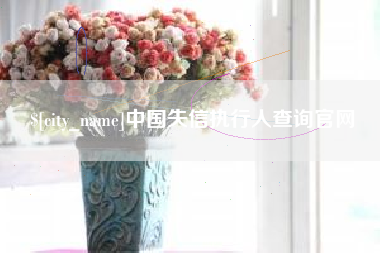 舞钢中国失信执行人查询官网