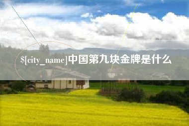 舞钢中国第九块金牌是什么