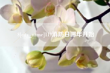 舞钢119消防日哪年开始