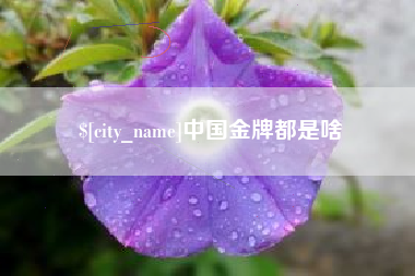 舞钢中国金牌都是啥