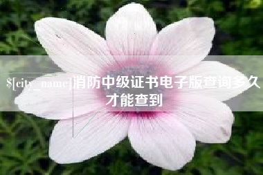 舞钢消防中级证书电子版查询多久才能查到