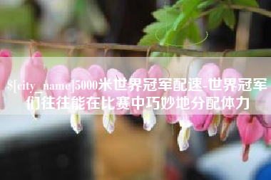 舞钢5000米世界冠军配速-世界冠军们往往能在比赛中巧妙地分配体力
