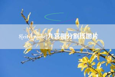 舞钢九宫图分割线图片