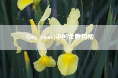 舞钢中国金牌包括
