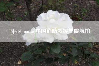 舞钢中国消防救援学院航拍