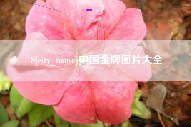 舞钢中国金牌图片大全