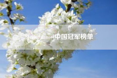 舞钢中国冠军榜单