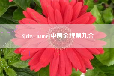 舞钢中国金牌第九金