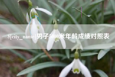 舞钢男子5000米年龄成绩对照表
