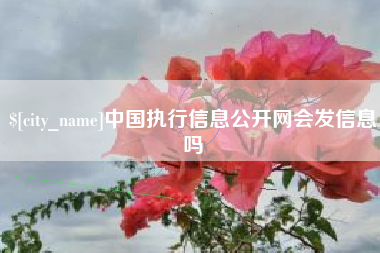 舞钢中国执行信息公开网会发信息吗