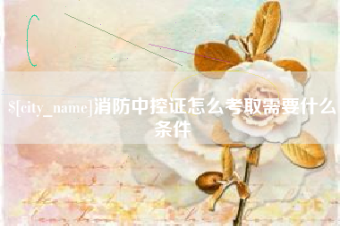 舞钢消防中控证怎么考取需要什么条件