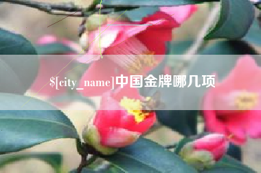 舞钢中国金牌哪几项