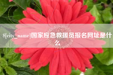 舞钢国家应急救援员报名网址是什么