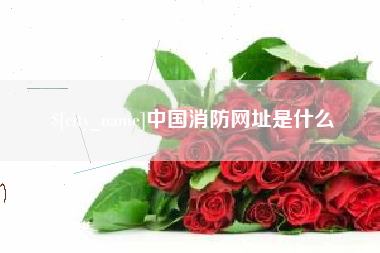 舞钢中国消防网址是什么