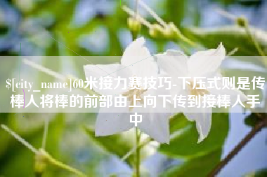 舞钢60米接力赛技巧-下压式则是传棒人将棒的前部由上向下传到接棒人手中