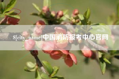 舞钢中国消防报考中心官网