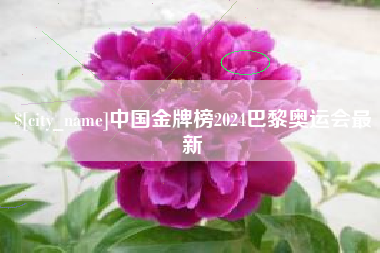 舞钢中国金牌榜2024巴黎奥运会最新