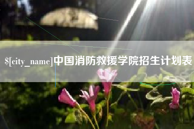 舞钢中国消防救援学院招生计划表