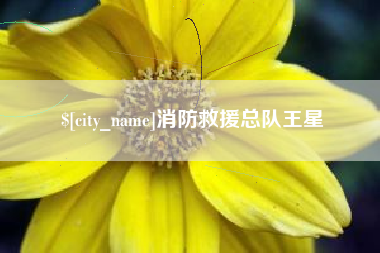 舞钢消防救援总队王星
