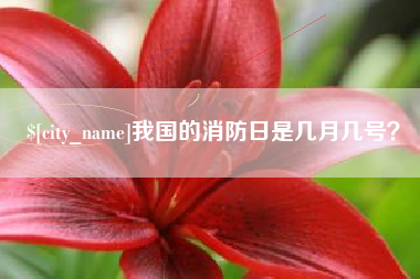 舞钢我国的消防日是几月几号？