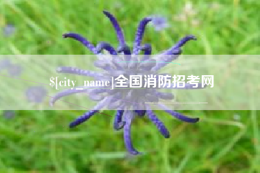 舞钢全国消防招考网