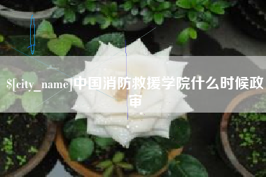 舞钢中国消防救援学院什么时候政审