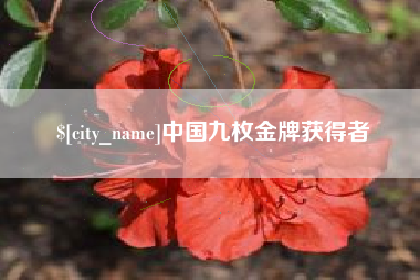 舞钢中国九枚金牌获得者