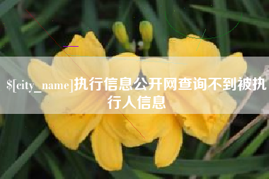 舞钢执行信息公开网查询不到被执行人信息