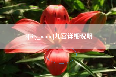 舞钢九宫详细说明