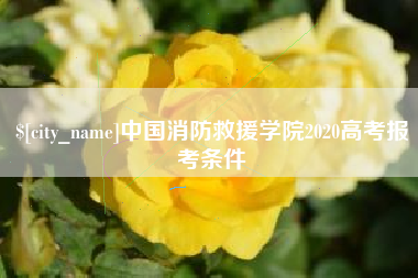 舞钢中国消防救援学院2020高考报考条件