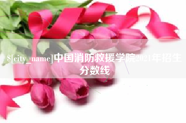 舞钢中国消防救援学院2021年招生分数线