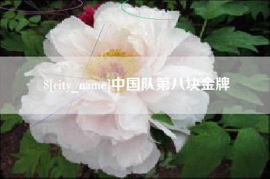 舞钢中国队第八块金牌