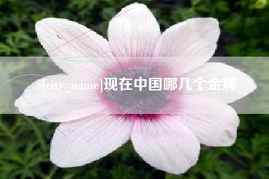 舞钢现在中国哪几个金牌